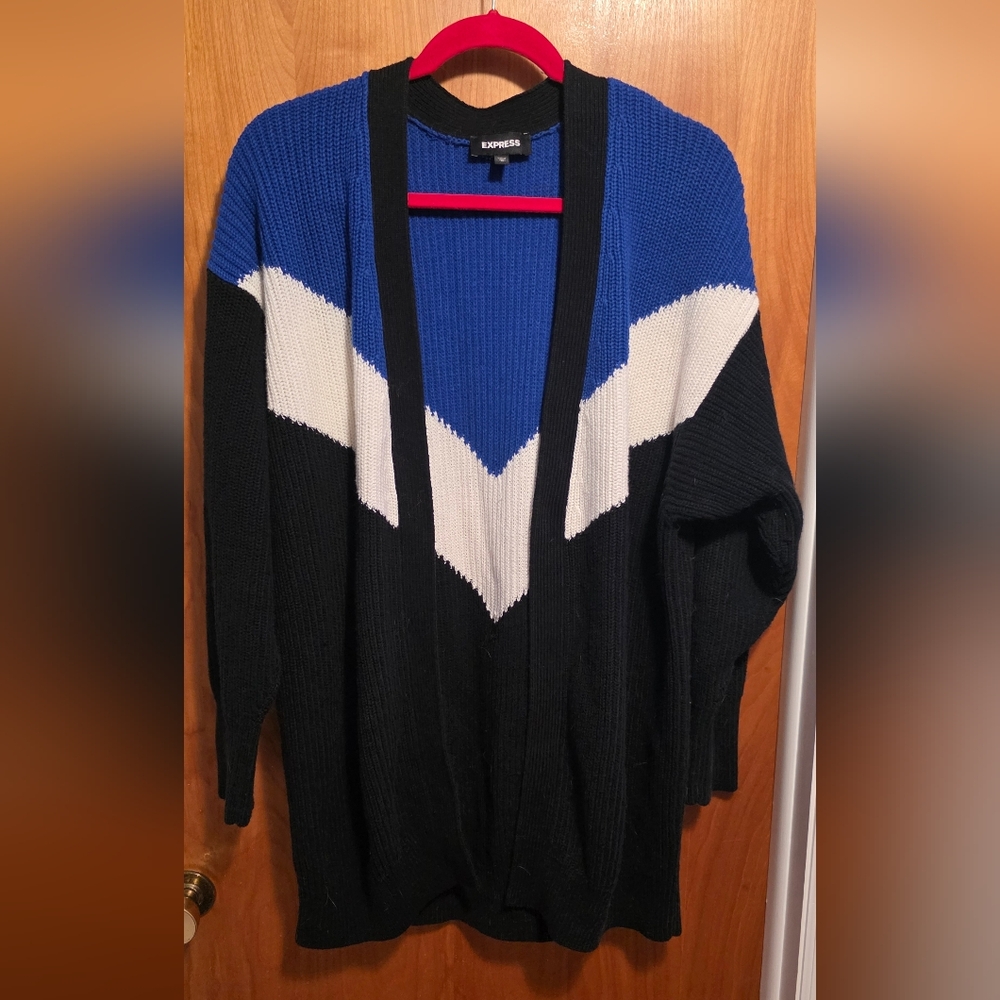 Express Blue and Red Knit Sweater